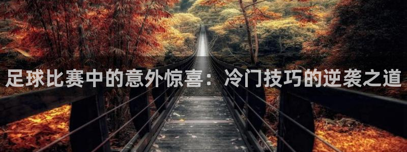 足球比赛中的意外惊喜:冷门技巧的逆袭之道