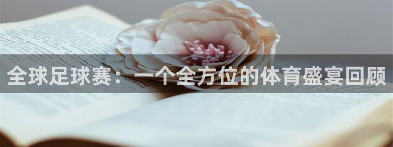 全球足球赛:一个全方位的体育盛宴回顾